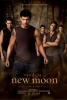 new moon poster 3